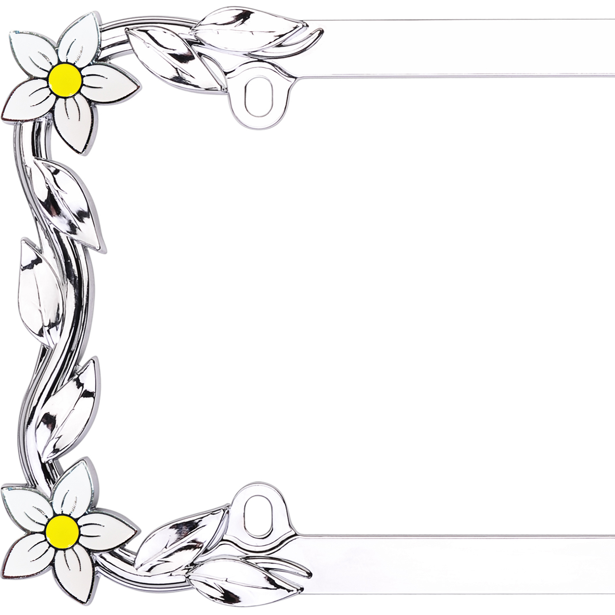 Daisy License Plate Frame, Chrome/Painted