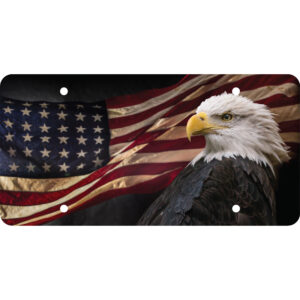 Cruiser Accessories Eagle novelty plate, front view